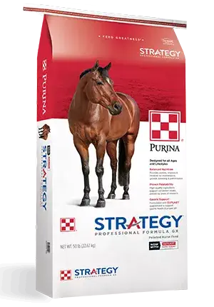Product_Horse_Strategy_GX_Professional_Formula_2019